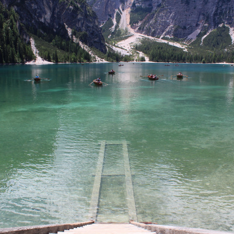 Vins du Trentin-Haut-Adige