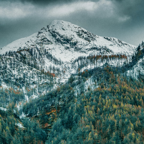 Vins de la Vallée d'Aoste